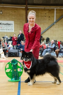 Number 4 All breeds in the Spitz Specialty Club!